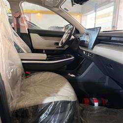 جیتۆر داشينگ